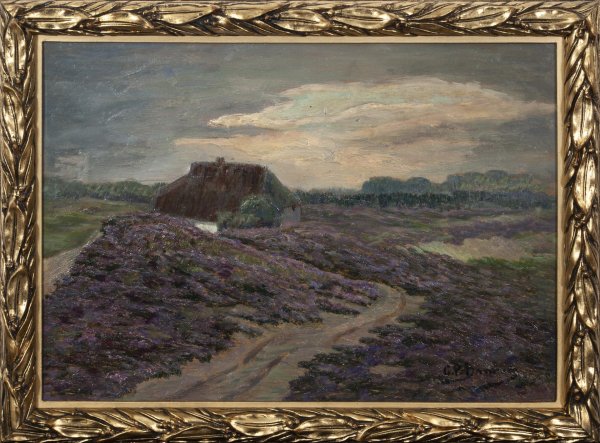 Levandule v Provence